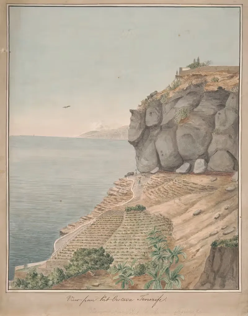 View from Port Orotava, Tenerife — Alfred Diston