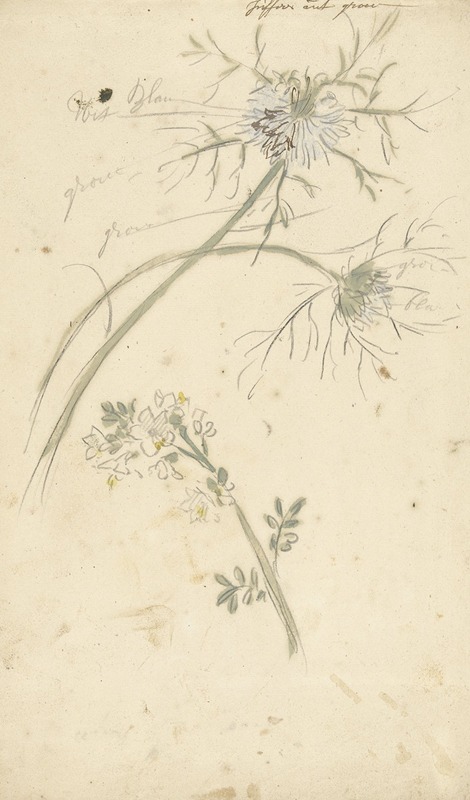 Juffertje in 't groen by Элиас ван Неймеген, 1677 - 1755 — digital art print download