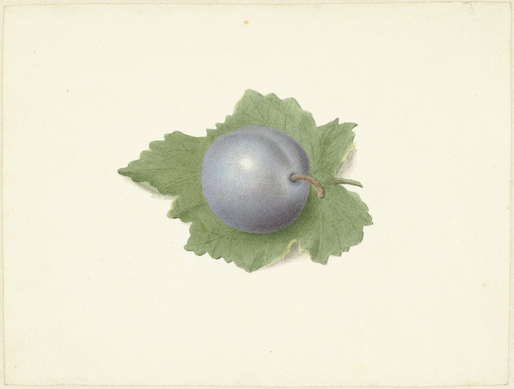 Pruim op een blad by Elisabeth Geertruida van de Kasteele, 1818 - 1853 — digital art print download