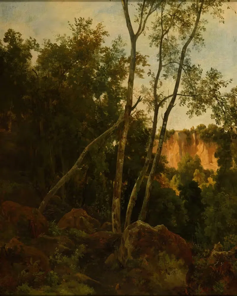 Forêt avec rochers by Jacques-Raymond Brascassat — digital art print download