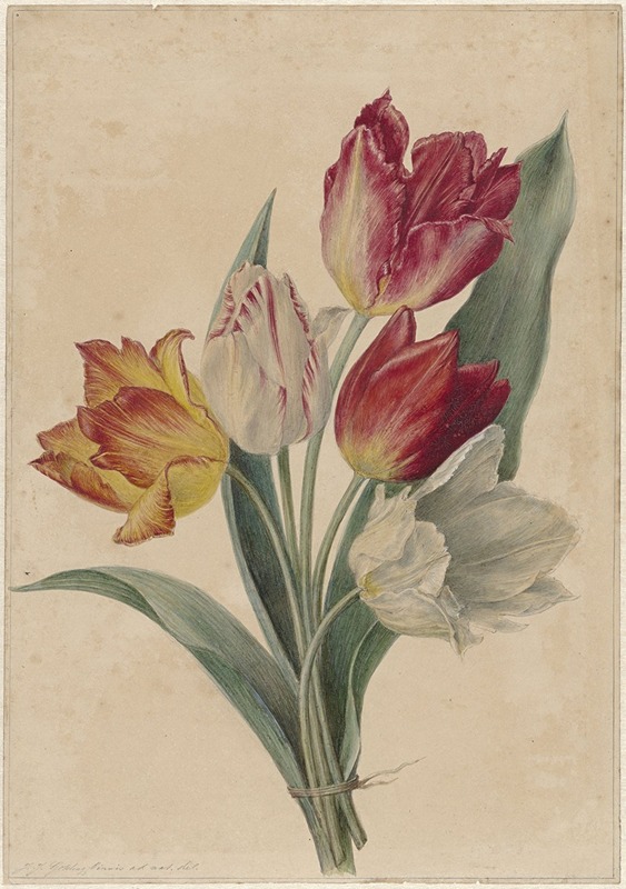 Bouquet of Tulips — Jan Jacob Goteling Vinnis