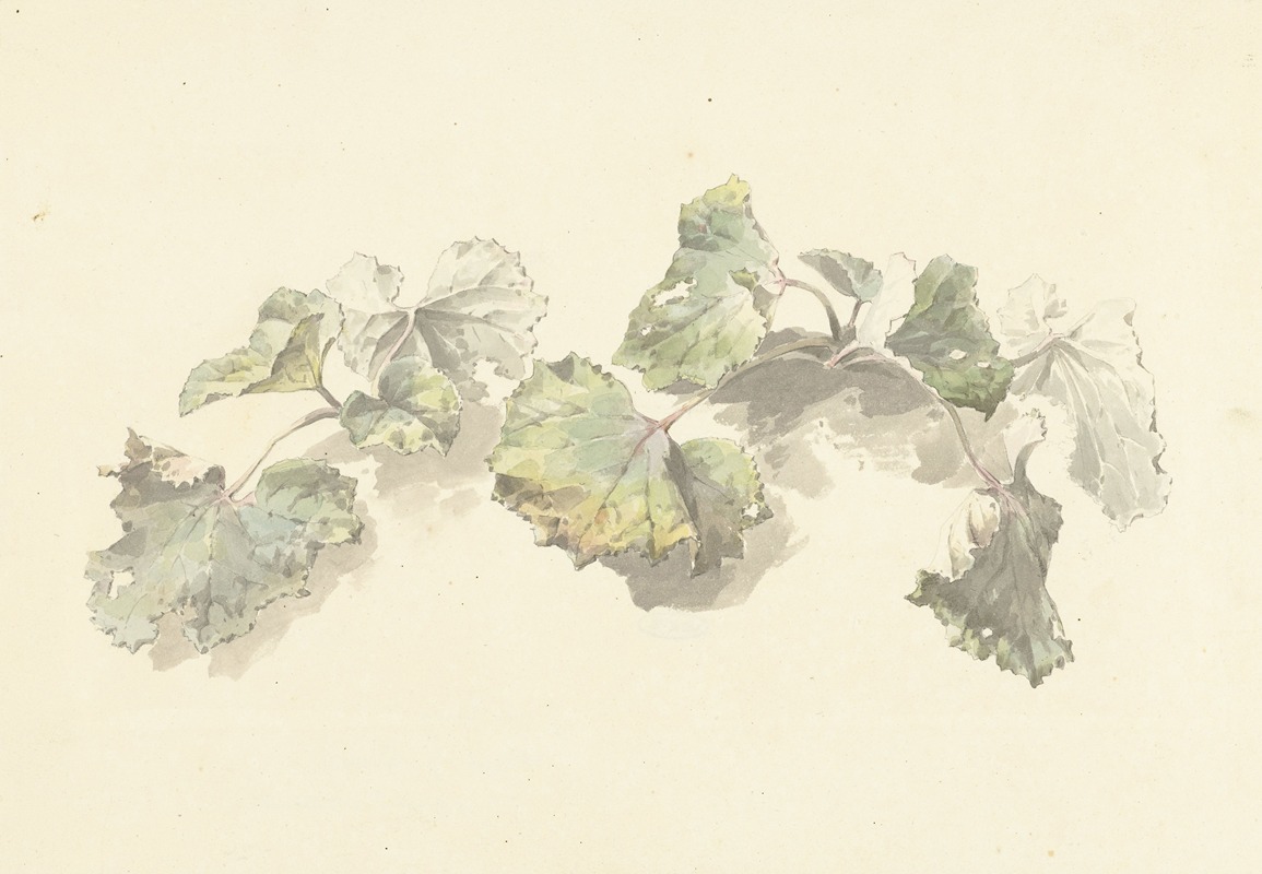 Studie van bladeren by Иосиф Августус Книп, 1787 - 1847 — digital art print download