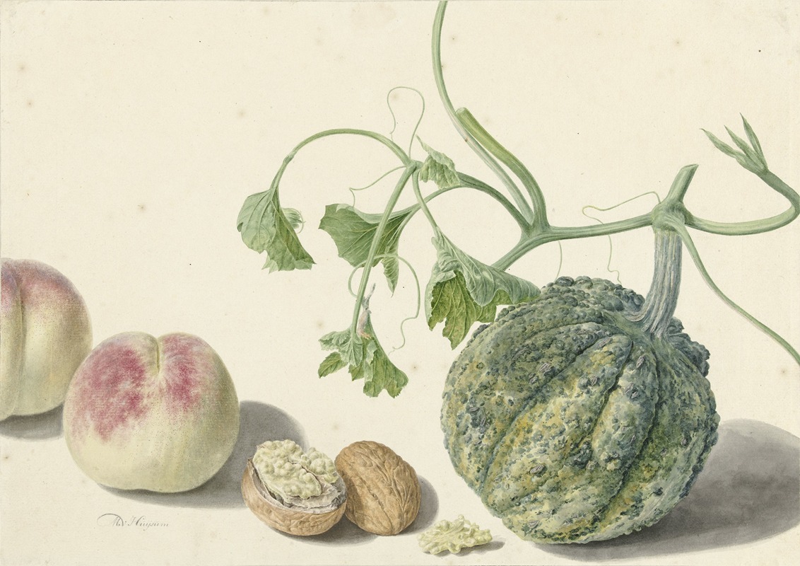 Kalebas, twee perziken en een walnoot — Michiel van Huysum