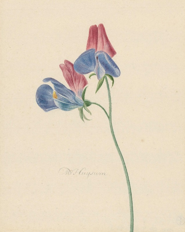 Tak met twee bloemen — Michiel van Huysum