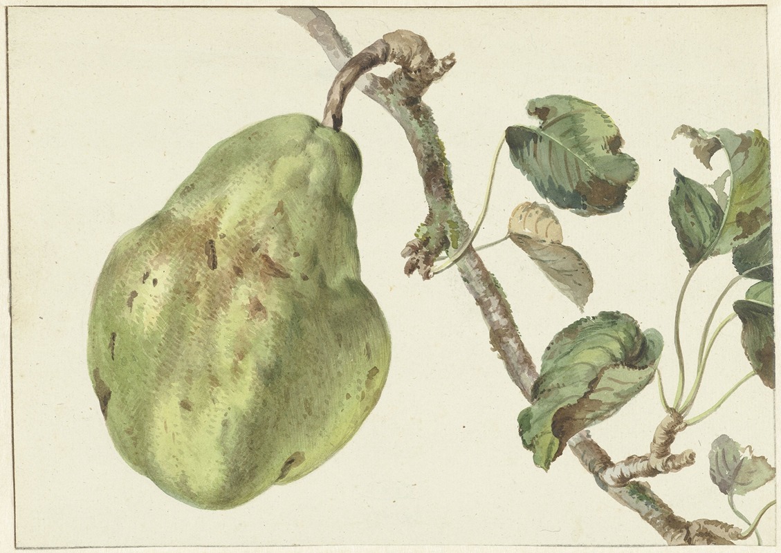 Peer aan een tak by Pieter Gevers, 1781 — digital art print download