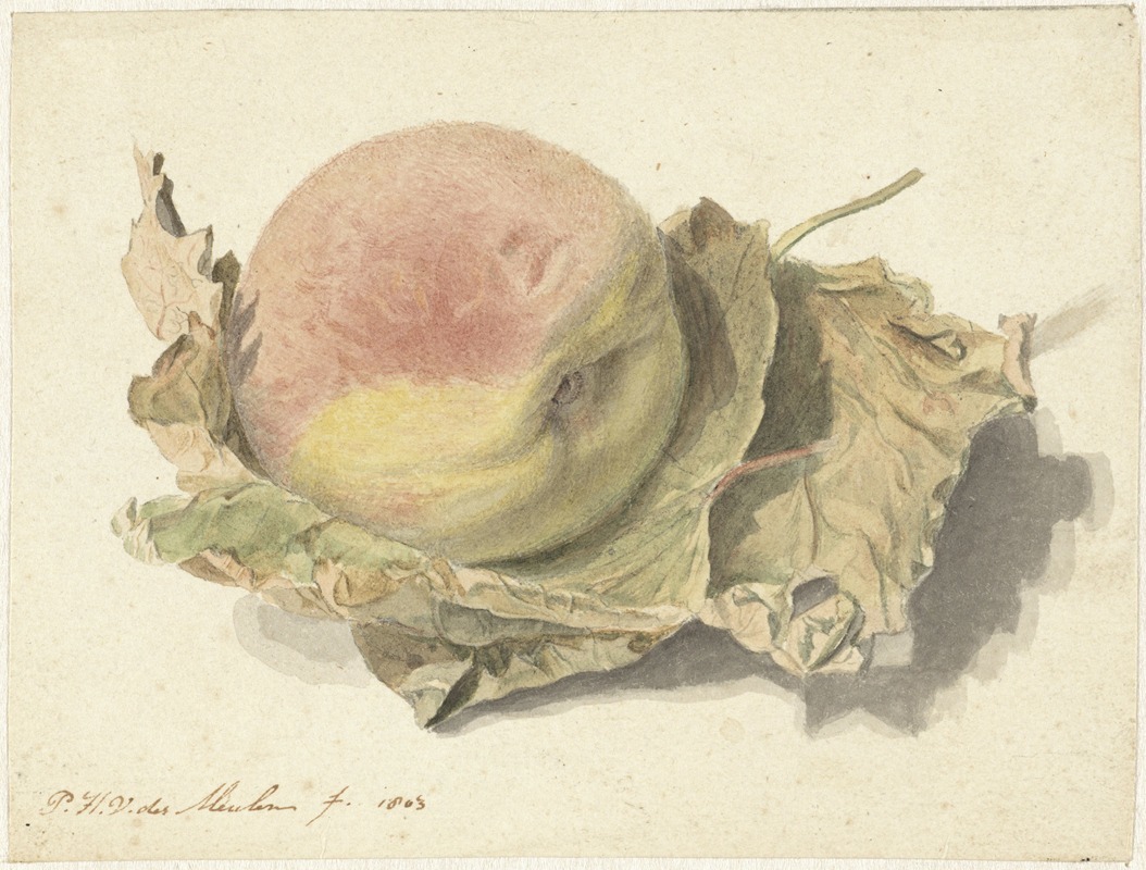Perzik op twee bladeren by Pieter van der Meulen, 1803 — digital art print download