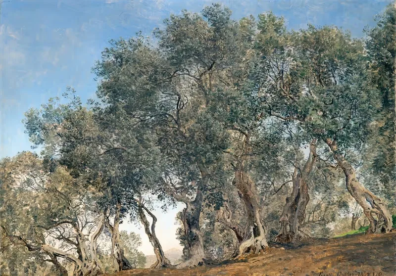 Olive Grove at Tivoly, Italy — Janus la Cour