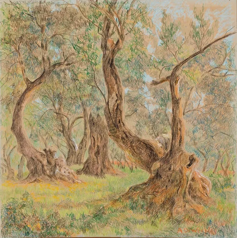 Old Olive Trees by Anna De Weert — digital art print download