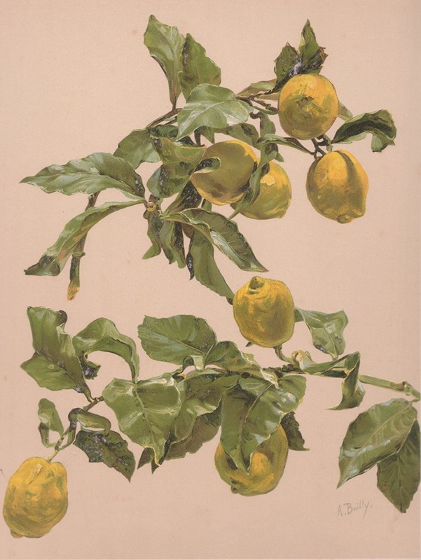 Aquarelle d'un citronnier by Алиса Байи — digital art print download
