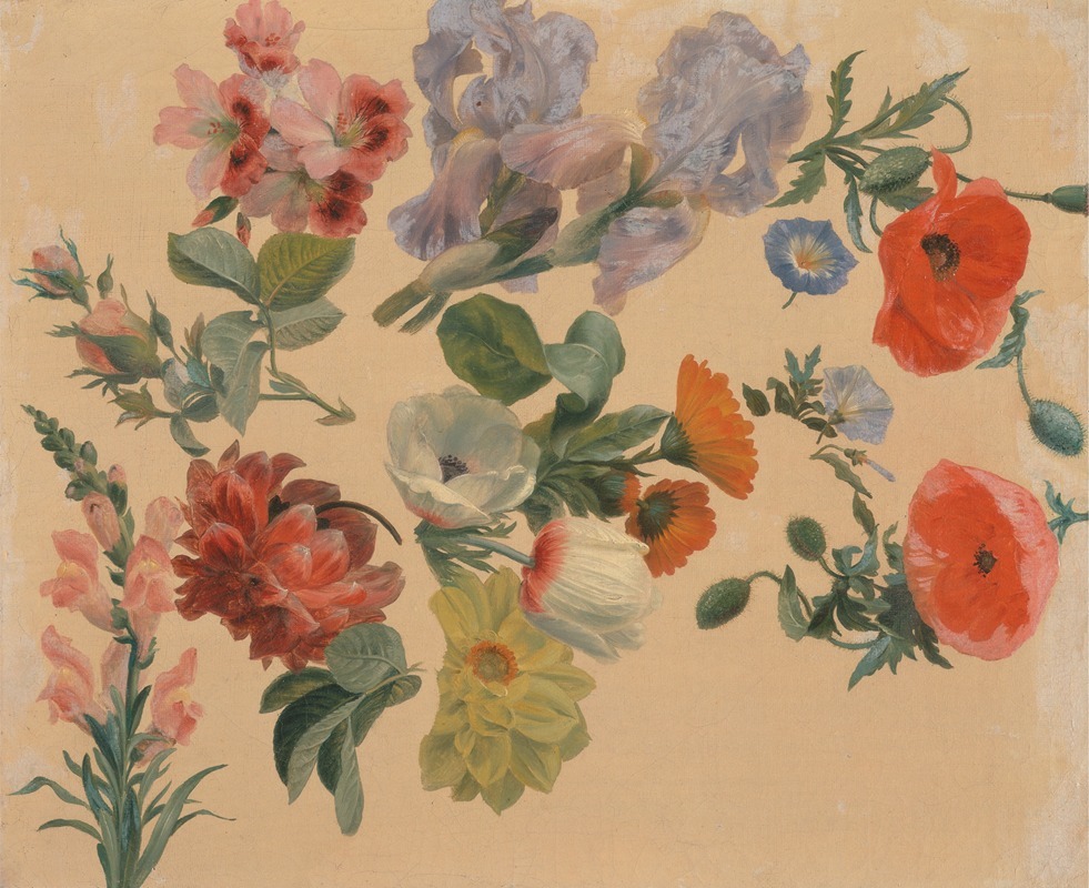 Studies of Summer Flowers — Жак-Лоран Агаз