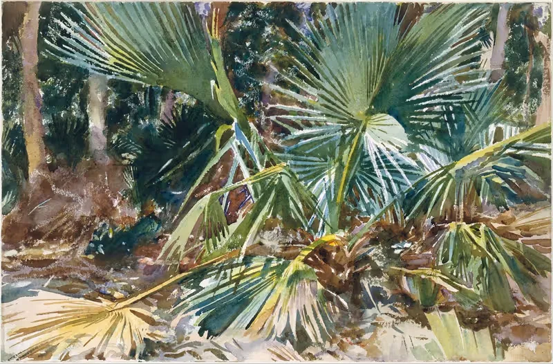 Пальметто by Джон Сингер Сарджент, 1917 — digital art print download