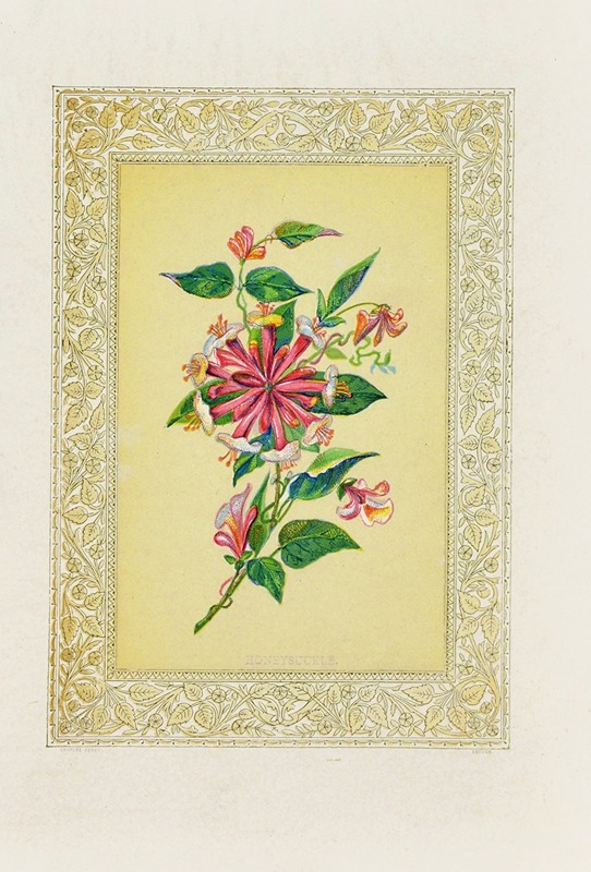 Honeysuckle by John Henry Ingram, 1869 — digital art print download