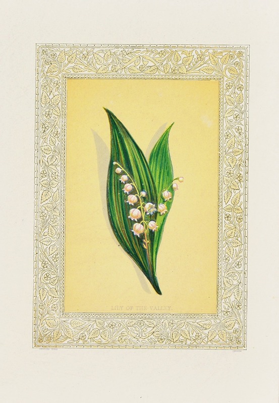 Lily of the valley — John Henry Ingram