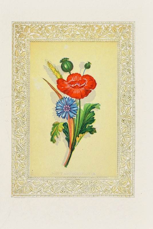 Poppy and Cornflower by John Henry Ingram, 1869 — digital art print download