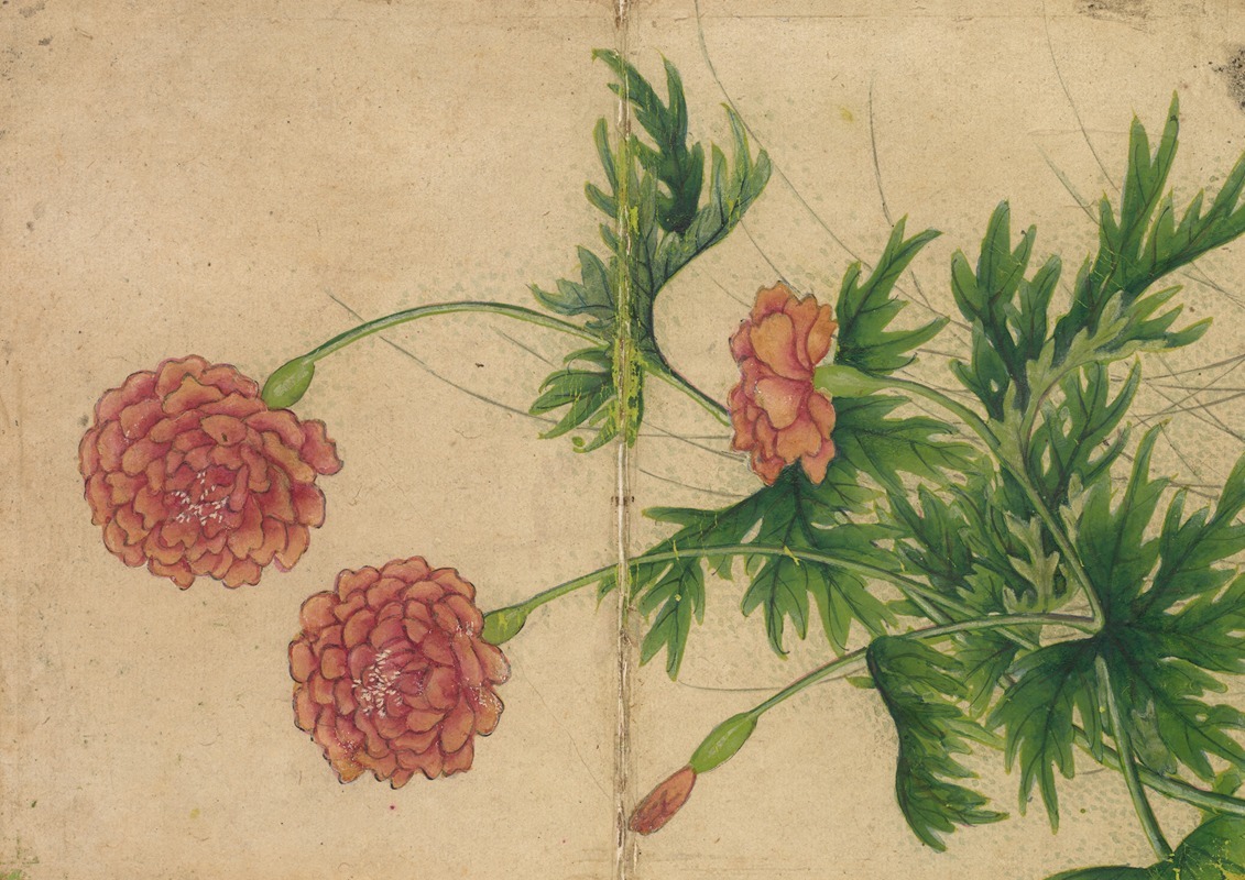Peony by Zhang Ruoai — digital art print download