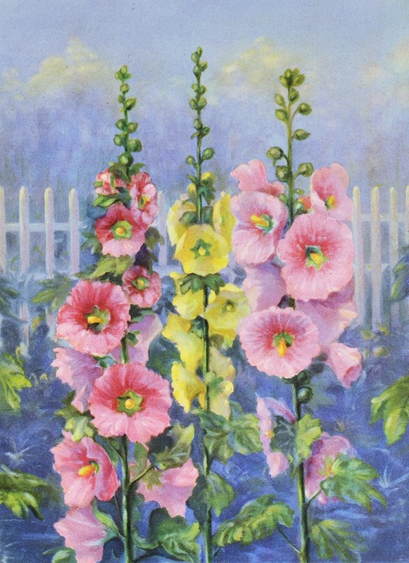 Hollyhock by Lafayette F. Cargill, 1937 — digital art print download