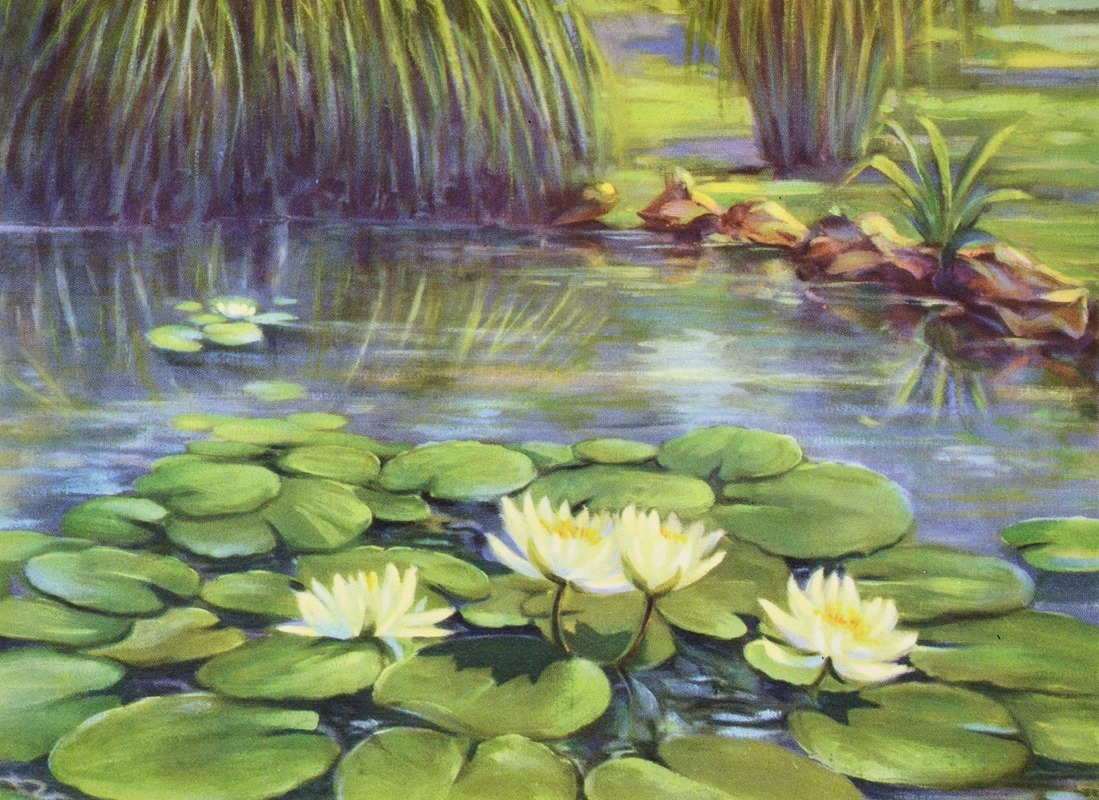Water lily by Lafayette F. Cargill, 1937 — digital art print download