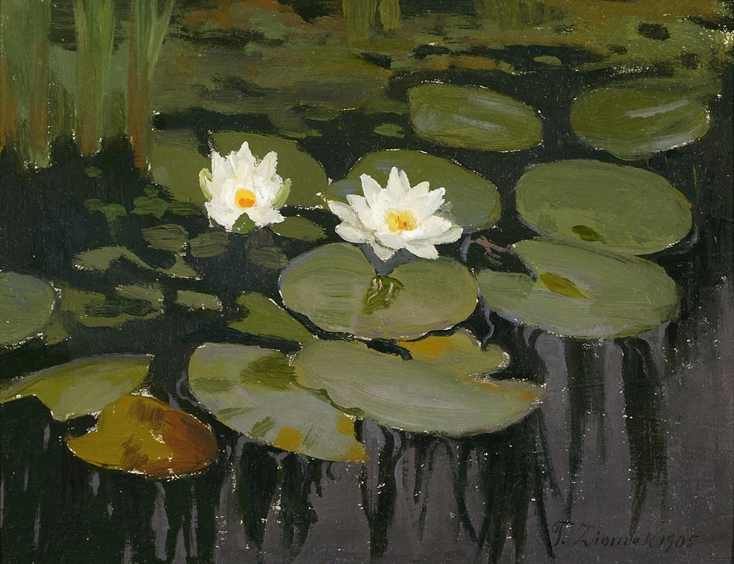 Water lilies by Теодор Зиомек, 1905 — digital art print download
