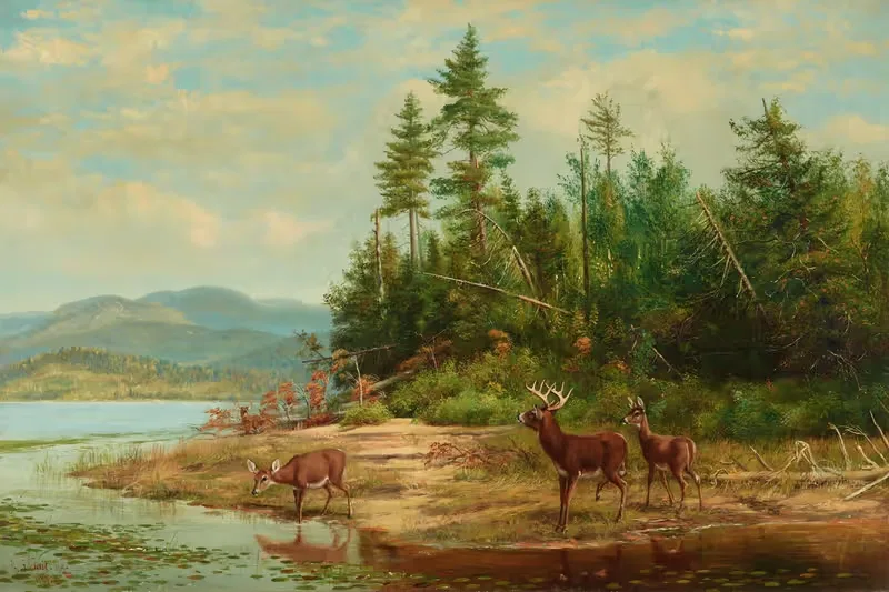 View on Long Lake by Arthur Fitzwilliam Tait, 1881 — digital art print download