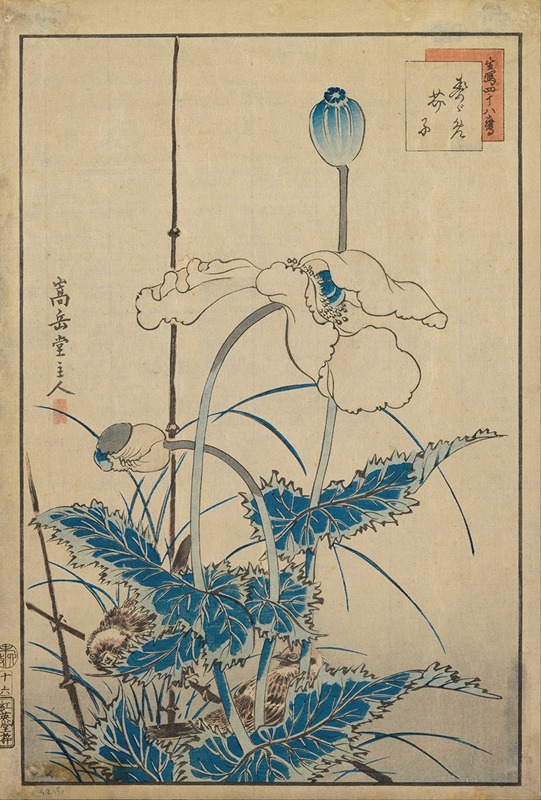 Bird over Poppies by Sugakudo — digital art print download