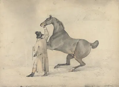 Groom with a Rearing Horse by Самуэль Алкен — digital art print download