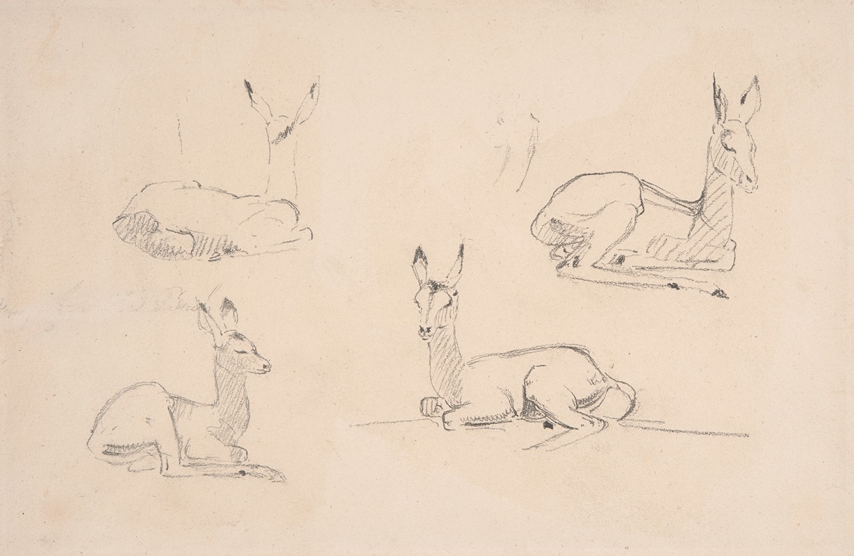 Studies of Pallah Deer Resting by Самуэль Даниэль — digital art print download