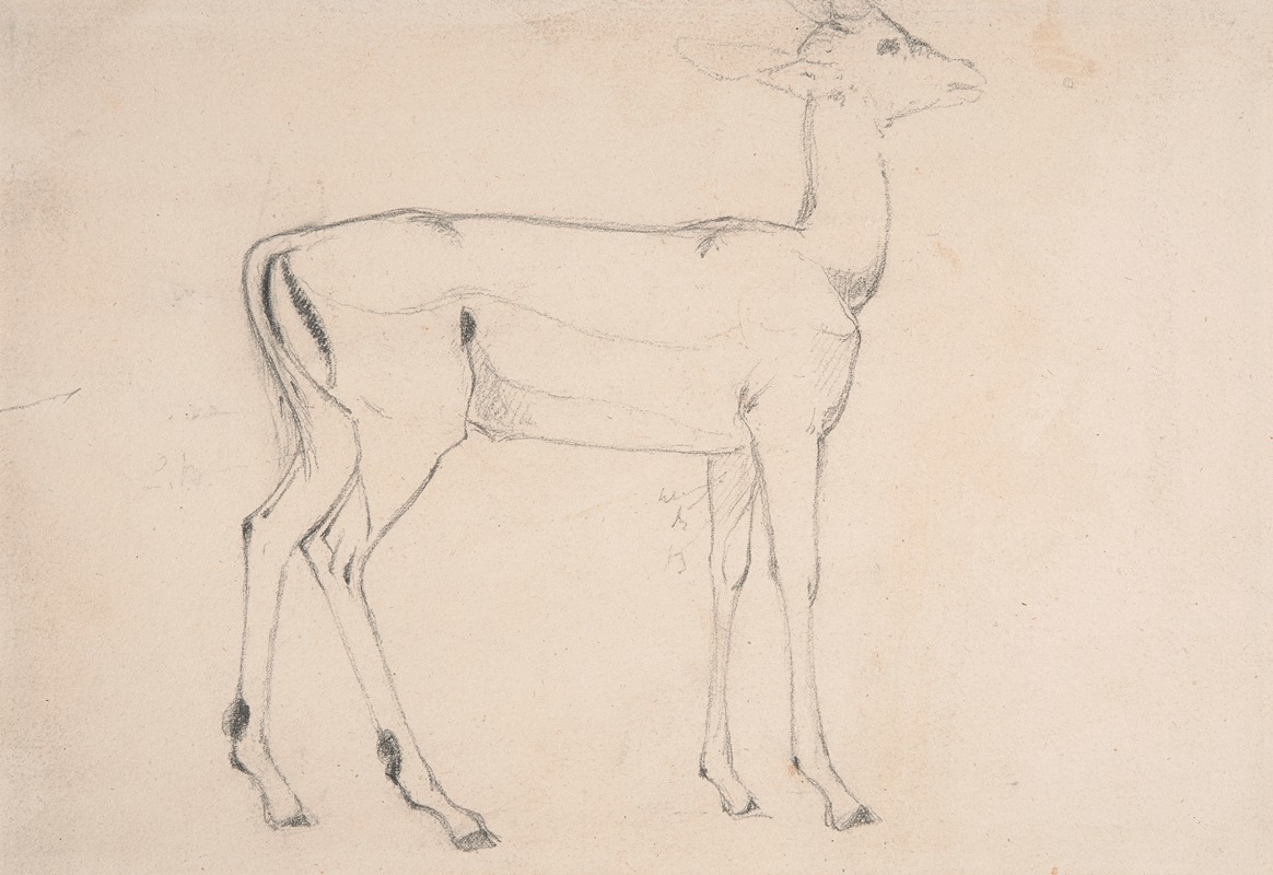Study of a Standing Deer by Самуэль Даниэль — digital art print download
