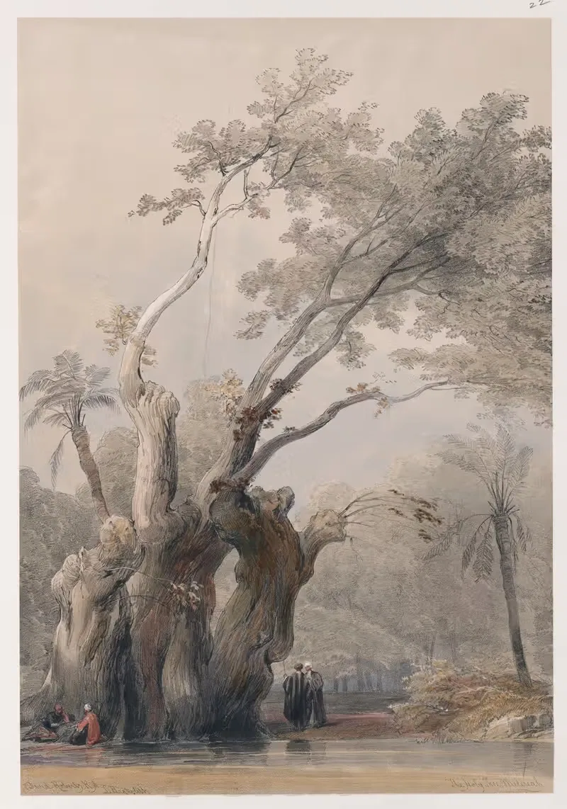 The holy tree of Metereah. — David Roberts