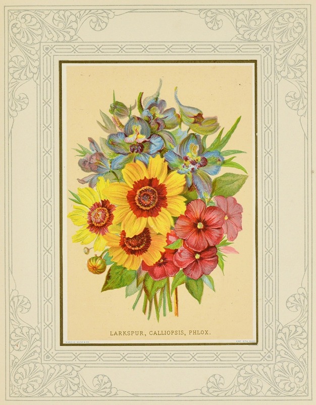 Larkspur, Calliopsis, Phlox by Marcus Ward & Co, 1877 — digital art print download