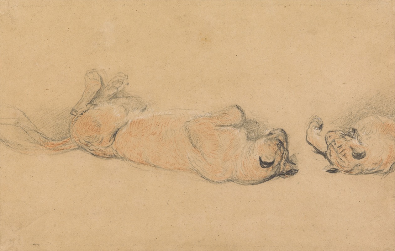 Lions at Play by Sir Edwin Henry Landseer — digital art print download