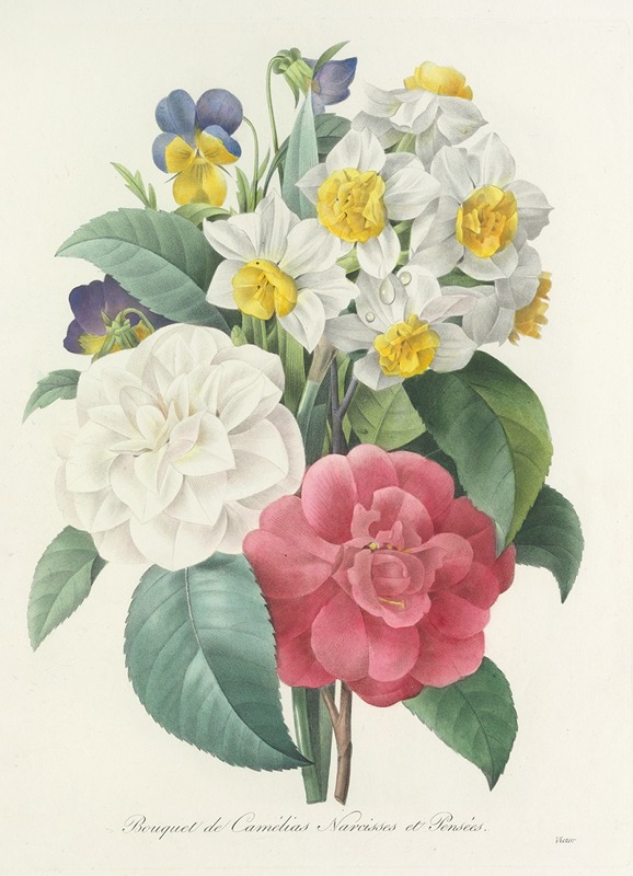 Choix des plus belles fleurs pl 015 by Pierre-Joseph Redouté, 1827 — digital art print download