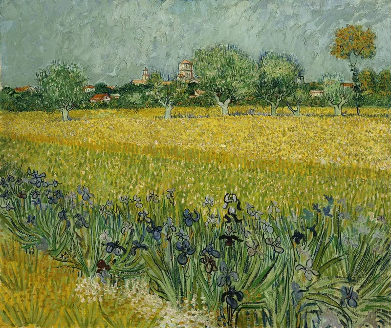 Field with flowers near Arles — Vincent van Gogh