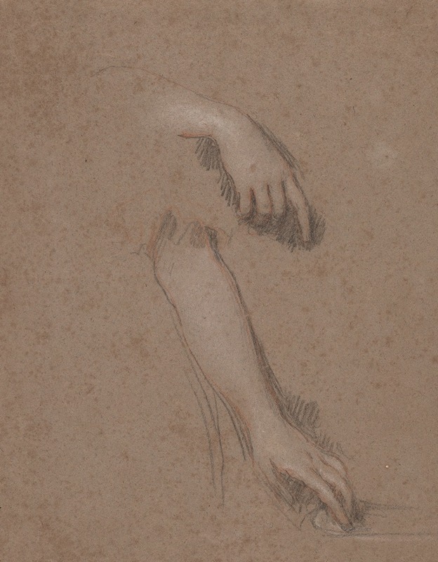 Drawings of Hands by Сэр Питер Лели — digital art print download