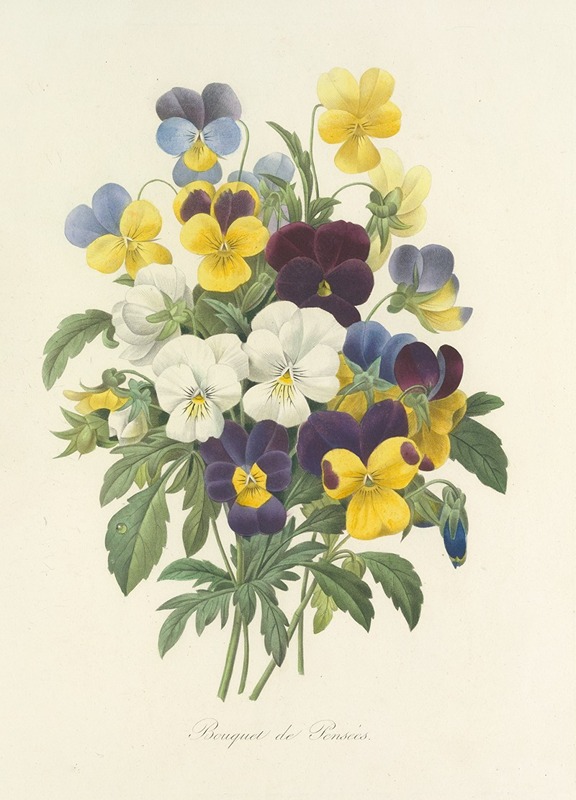 Choix des plus belles fleurs pl 067 by Pierre-Joseph Redouté, 1827 — digital art print download