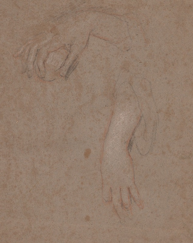 Drawings of Hands by Сэр Питер Лели — digital art print download