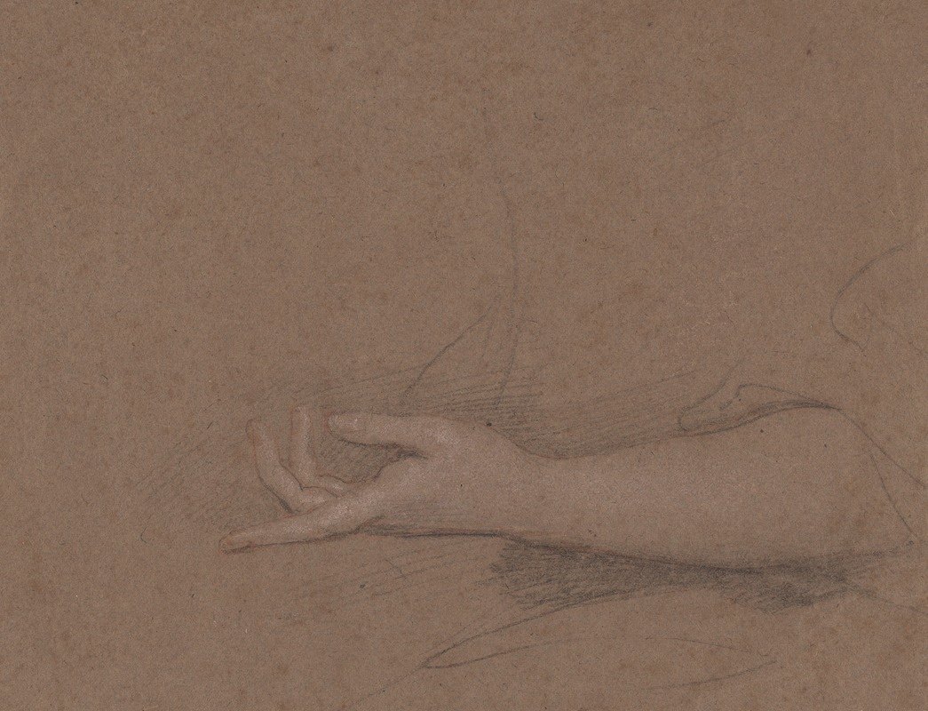 Drawings of Hands by Сэр Питер Лели — digital art print download