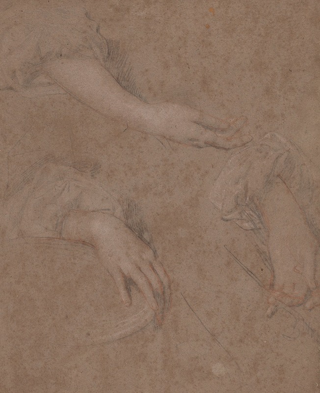 Drawings of Hands by Сэр Питер Лели — digital art print download