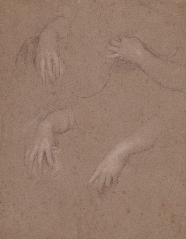 Drawings of Hands by Сэр Питер Лели — digital art print download