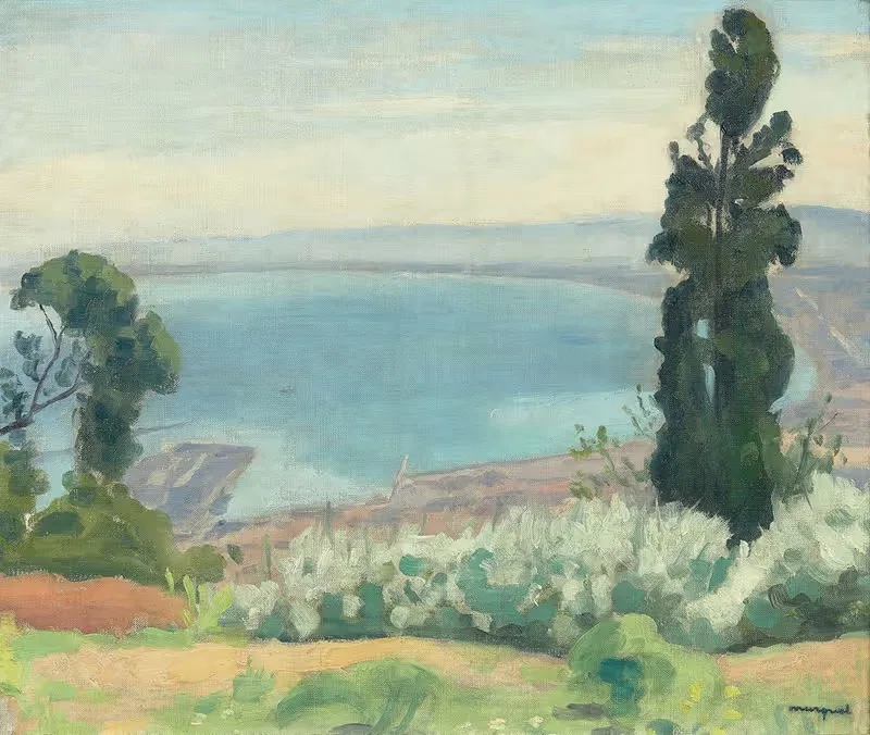 Алжирская бухта с видом на Эль-Биар by Альбер Марке, 1924 — digital art print download