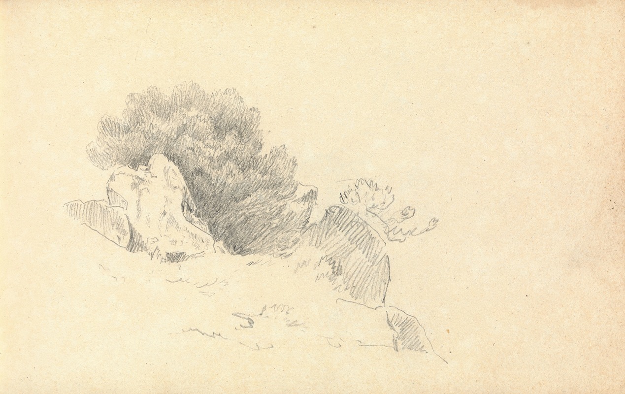Sketch of Rocks and Shrubs — Thomas Bradshaw