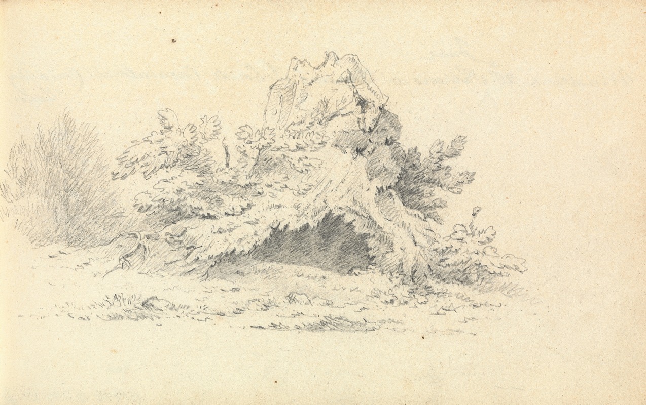 Sketch of Shrubbery by Томас Бредшоу — digital art print download