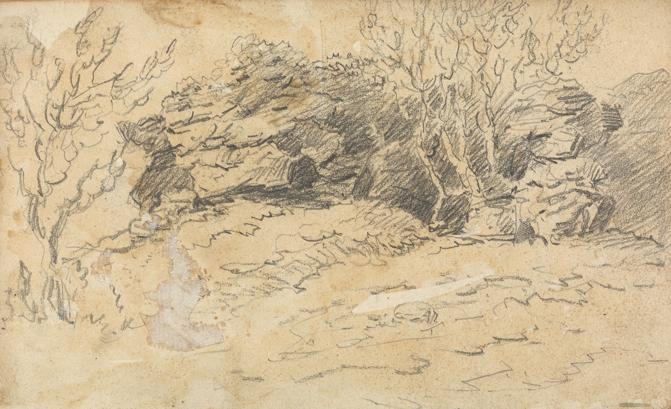 Sketch of Trees and Rocks — Thomas Bradshaw