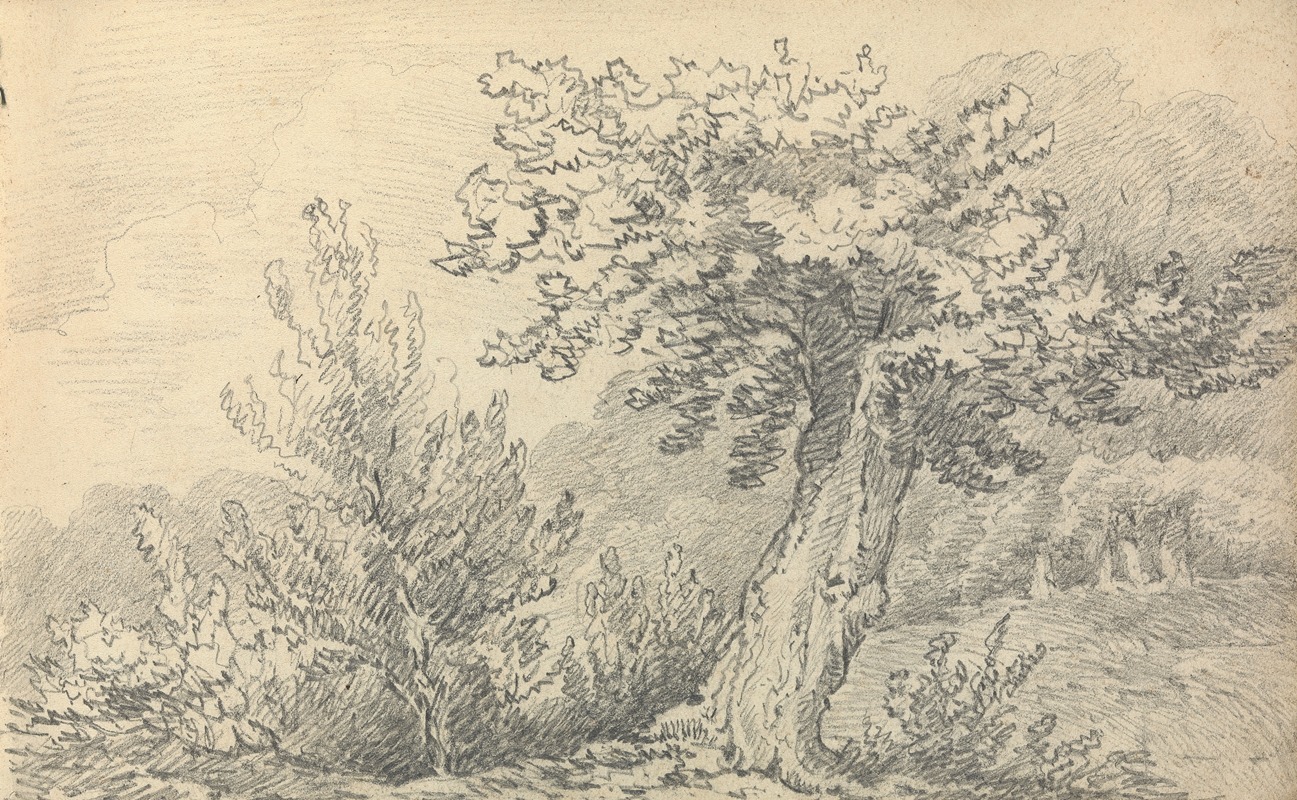 Study of Trees and Shrubs by Томас Бредшоу — digital art print download