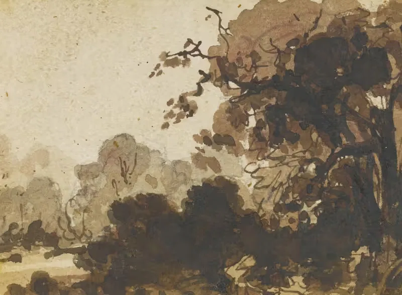 Study of a wooded landscape with trees — Ramsay Richard Reinagle
