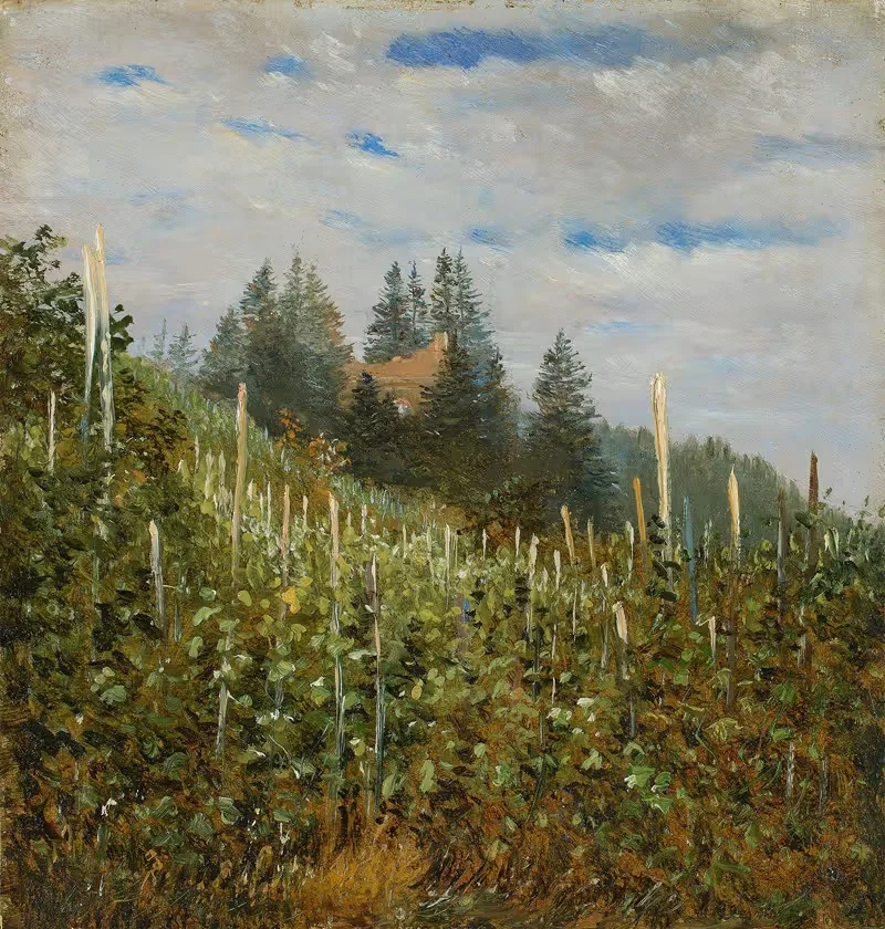 Vinyard in Pillnitz in early summer — Carl Gustav Carus