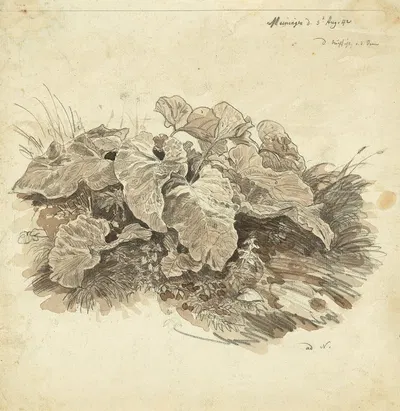 Huflattich by Карл Вагнер, 1842 — digital art print download