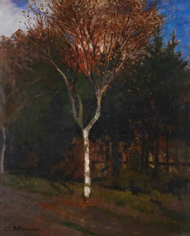 Worpsweder Landschaft. Junge Birke am Wegesrand — Carl Vinnen