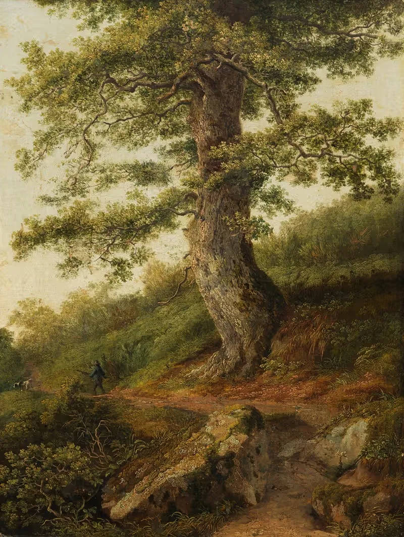 Старое оливковое дерево у Камальдоли by Якоб Филипп Хакерт, 1801 — digital art print download