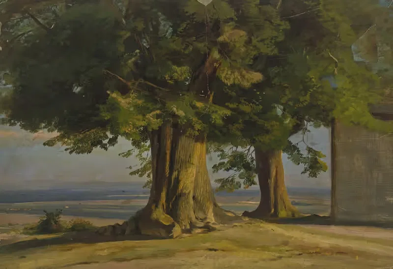 Alte Bäume und Ausblick auf weite Ebene — Jakob Becker