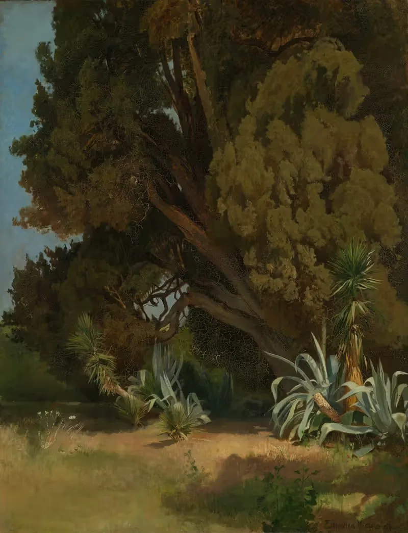 Baumstudie aus der Villa d'Este in Tivoli — Edmund Kanoldt